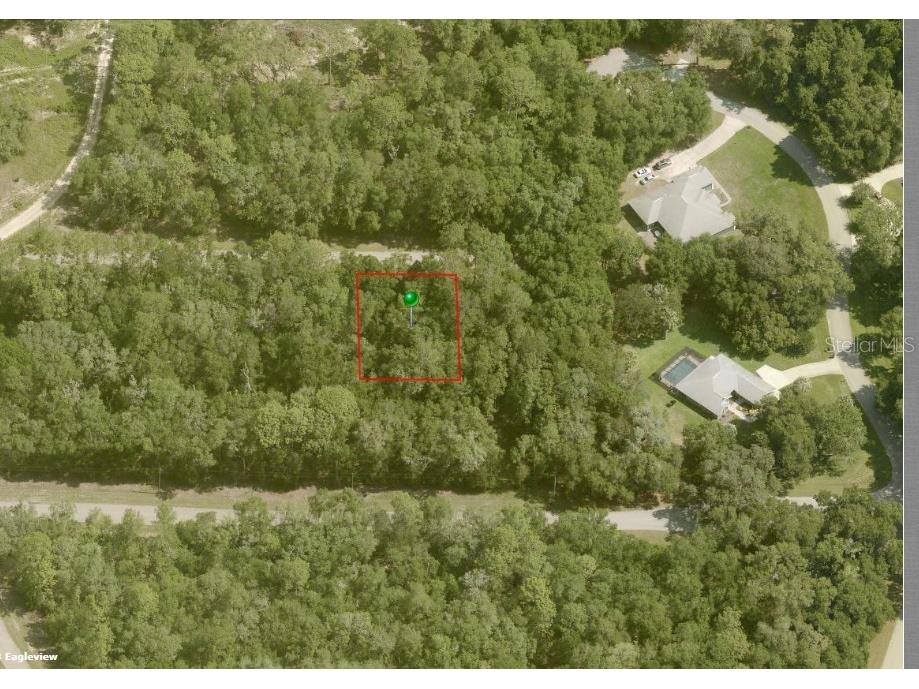 282 W Whitmarsh Court Dunnellon FL 34434 OM725336 image2