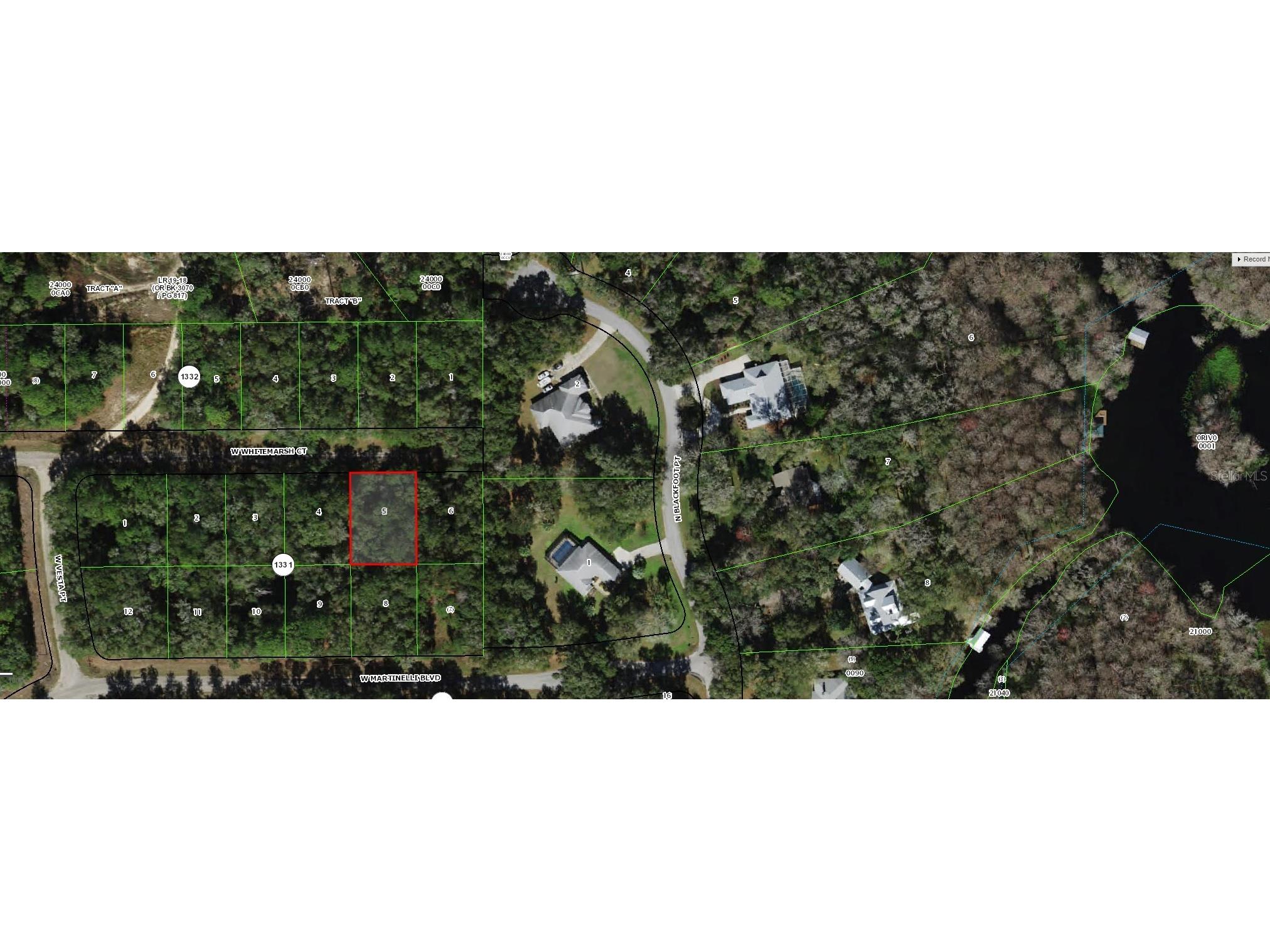 282 W Whitmarsh Court Dunnellon FL 34434 OM725336 image3