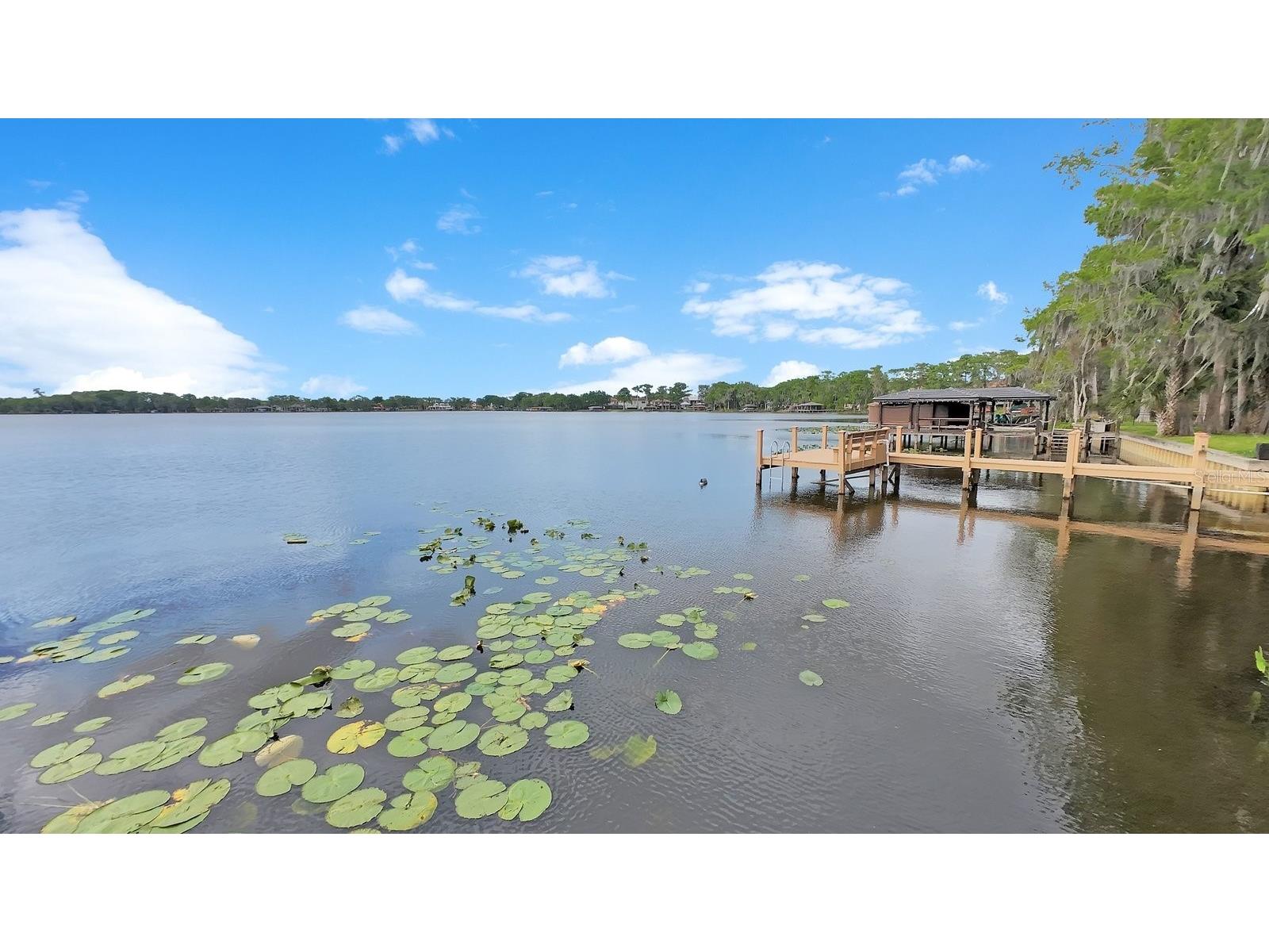 2820 Bear Island Pointe Winter Park FL 32792 - BEAR GULLY LAKE O6395836 image63