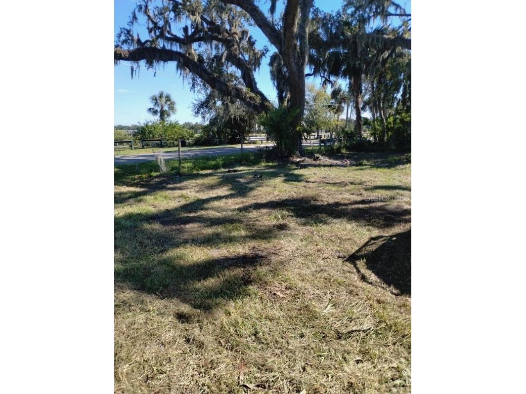 2820 Cameron Avenue Sanford FL 32773 L4954010 image2