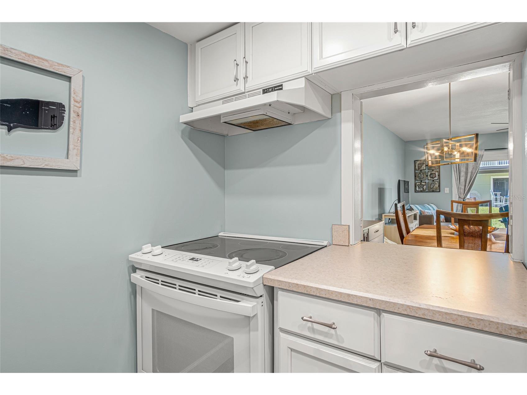 2820 Ocean Shore Boulevard #26 Ormond Beach FL 32176 V4950151 image9