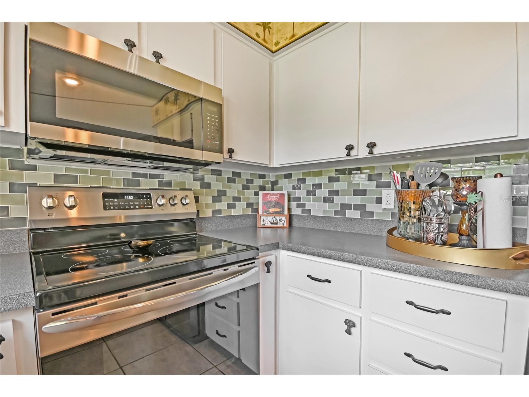 2820 Sabal Palm Drive Edgewater FL 32141 NS1088484 image20
