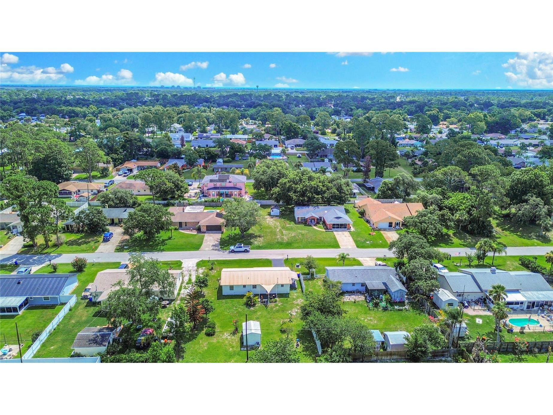 2820 Sabal Palm Drive Edgewater FL 32141 NS1088484 image3