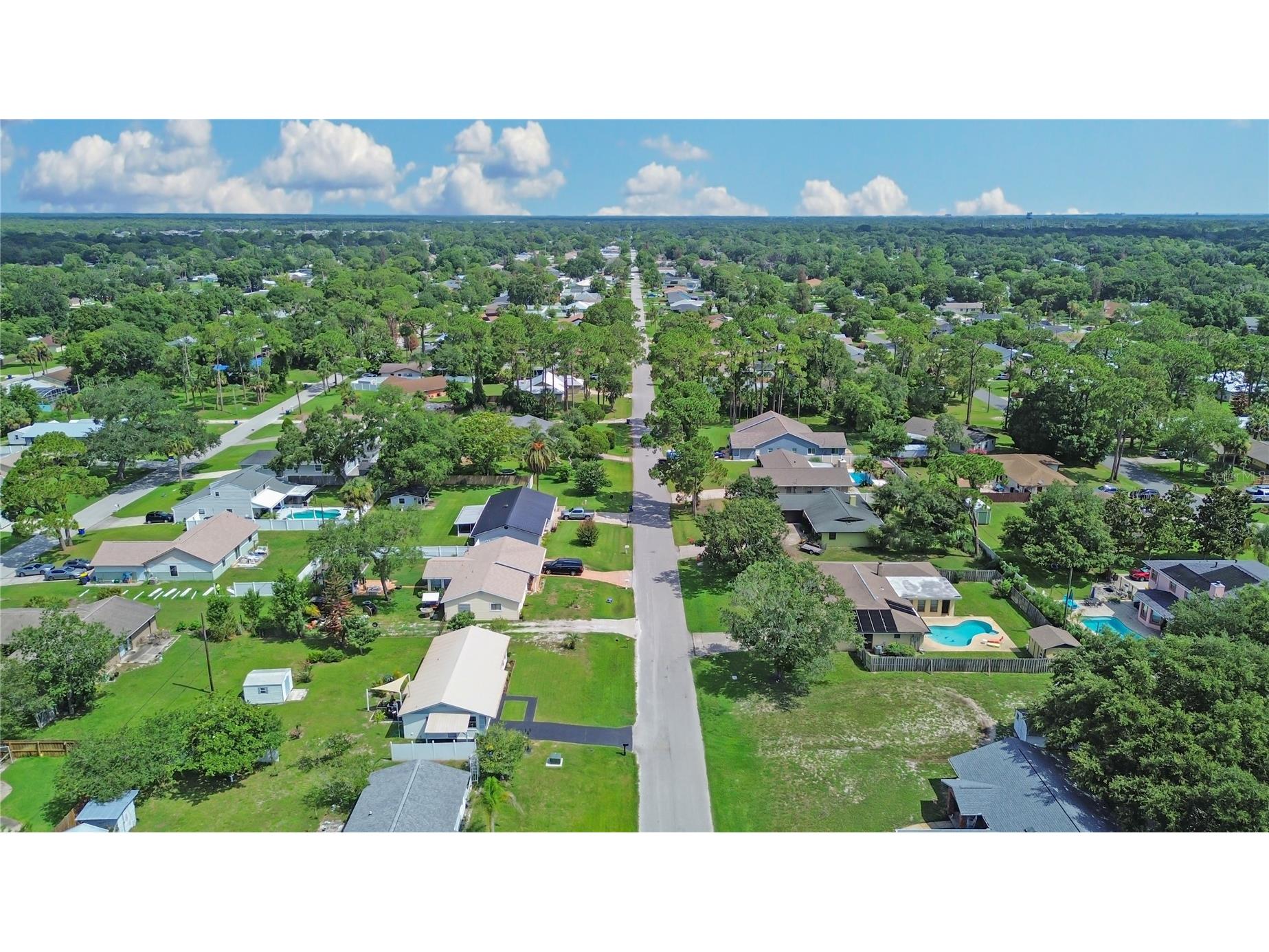 2820 Sabal Palm Drive Edgewater FL 32141 NS1088484 image4
