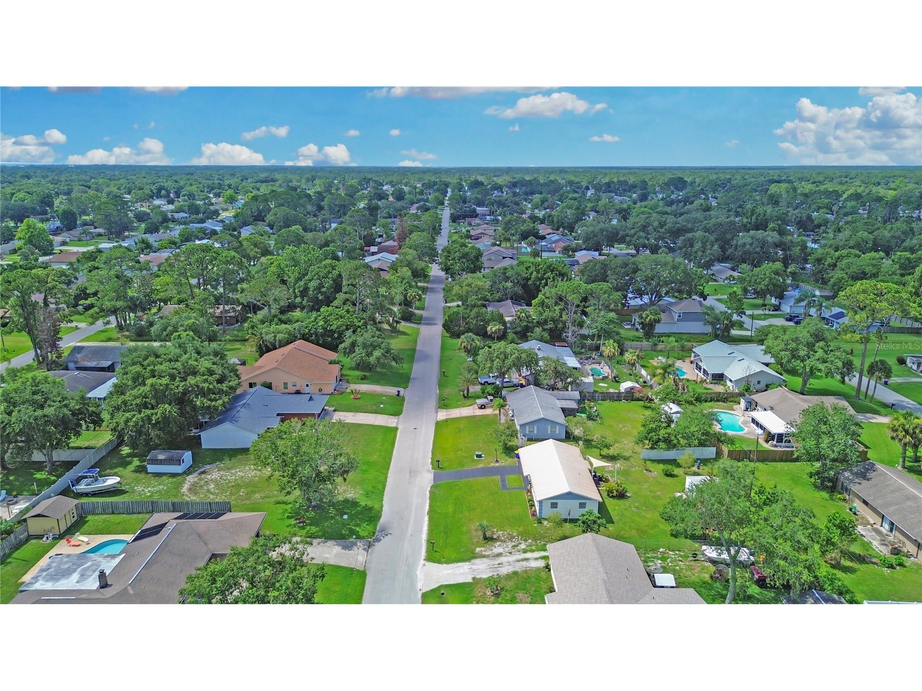 2820 Sabal Palm Drive Edgewater FL 32141 NS1088484 image5