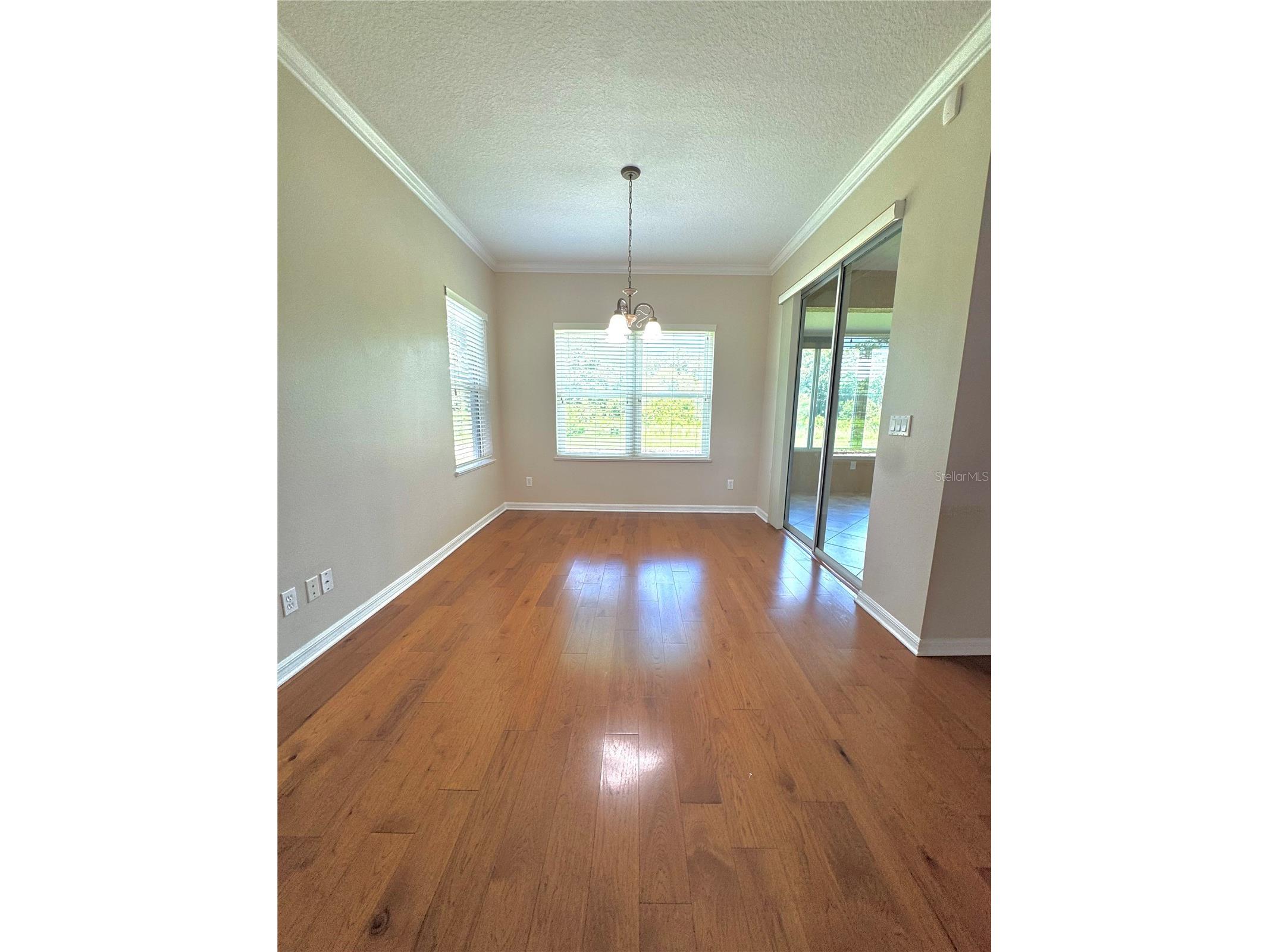 2820 Traditions Boulevard S Winter Haven FL 33884 - LAKE RUBY TB8531455 image11