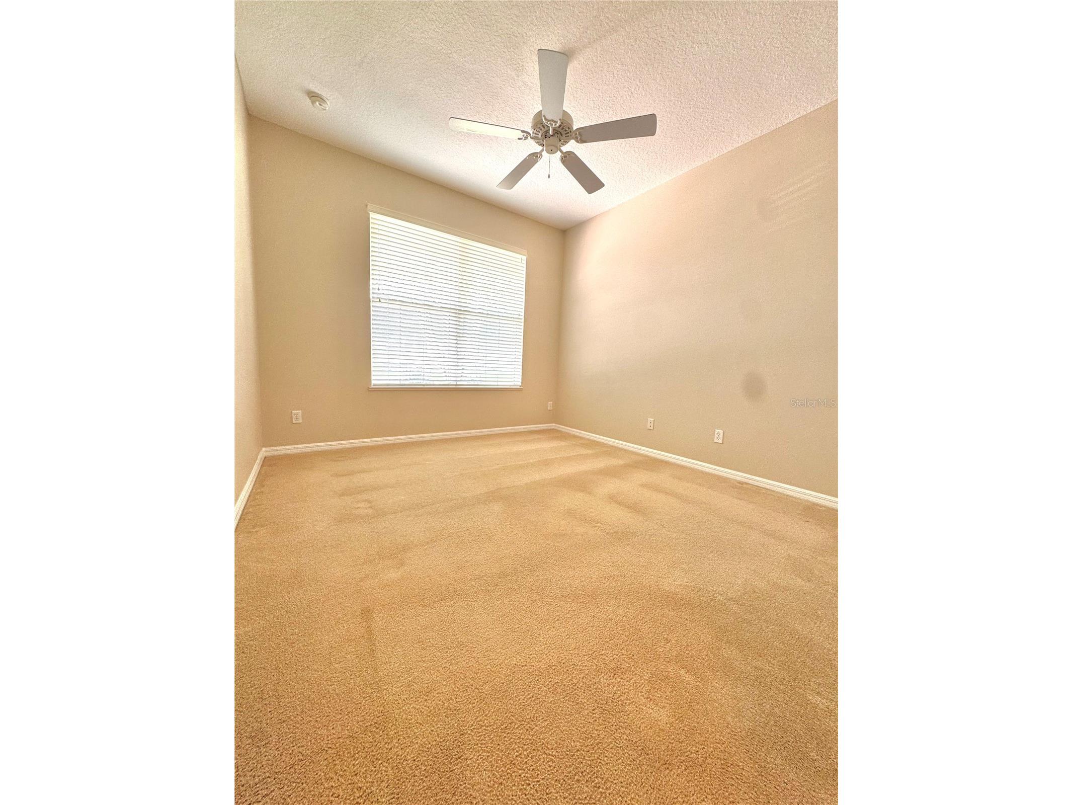 2820 Traditions Boulevard S Winter Haven FL 33884 - LAKE RUBY TB8531455 image19