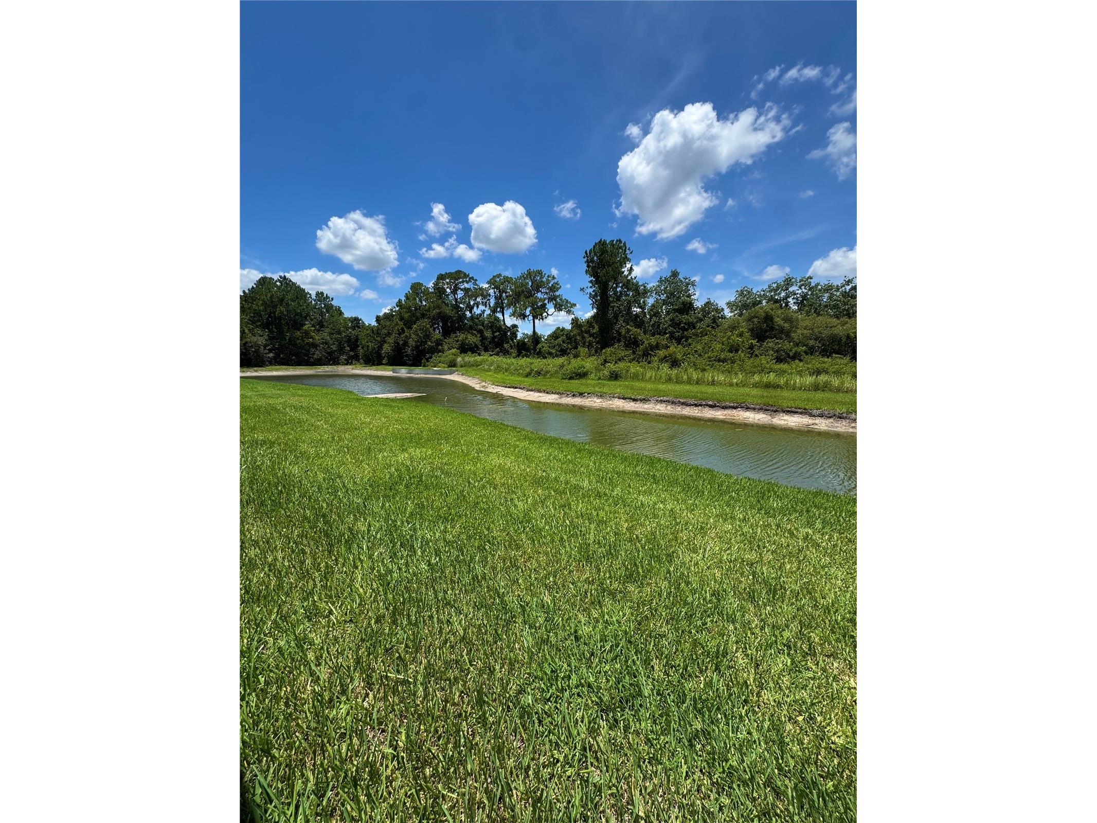 2820 Traditions Boulevard S Winter Haven FL 33884 - LAKE RUBY TB8531455 image29