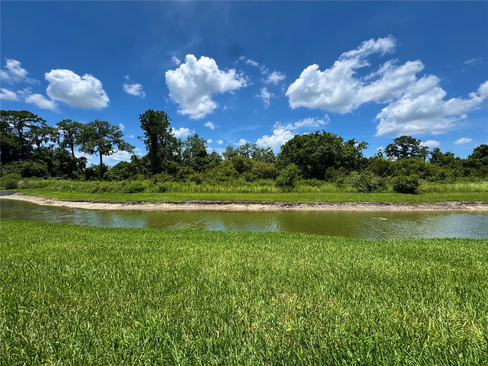 2820 Traditions Boulevard S Winter Haven FL 33884 - LAKE RUBY TB8531455 image31