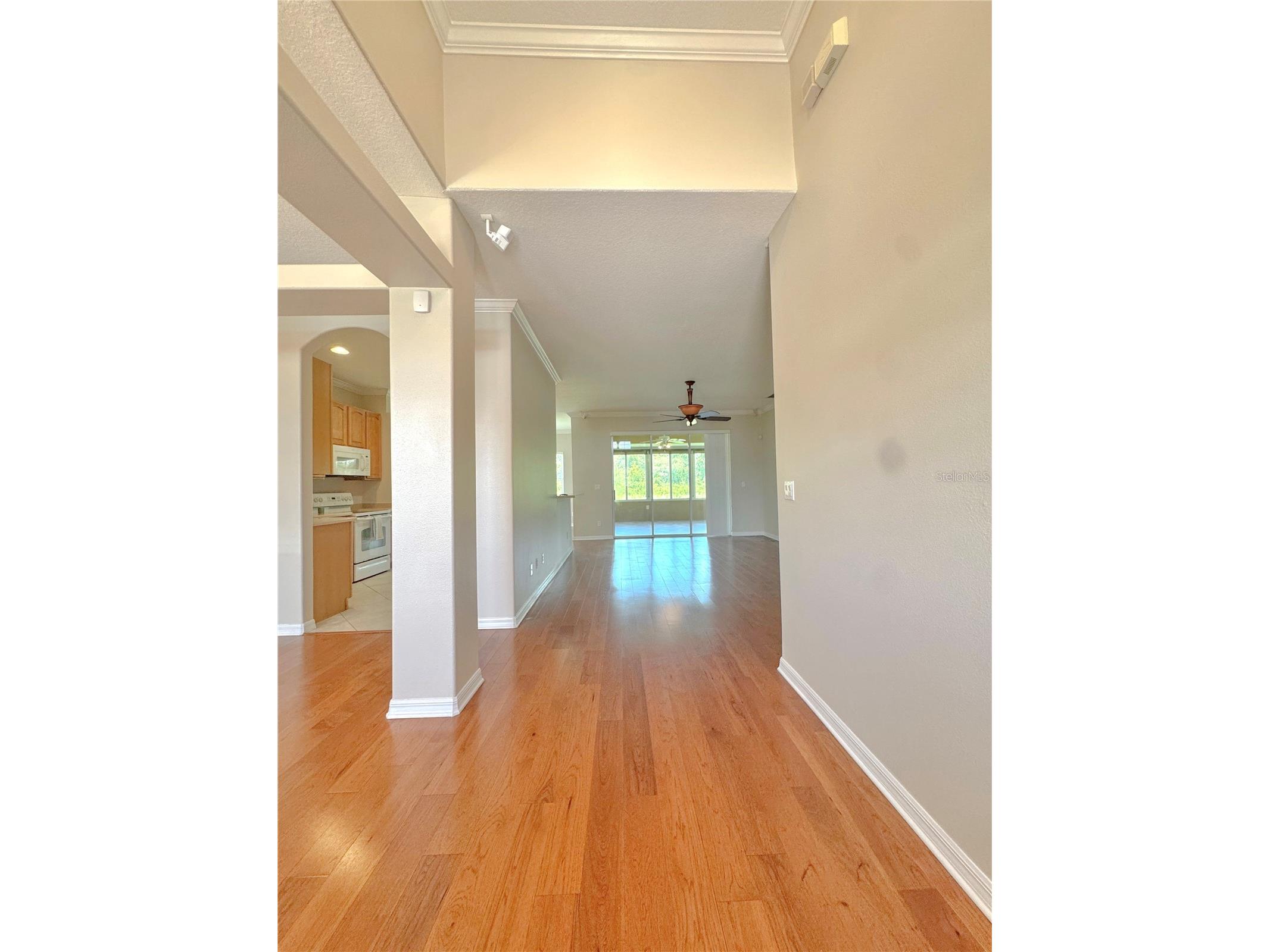 2820 Traditions Boulevard S Winter Haven FL 33884 - LAKE RUBY TB8531455 image6
