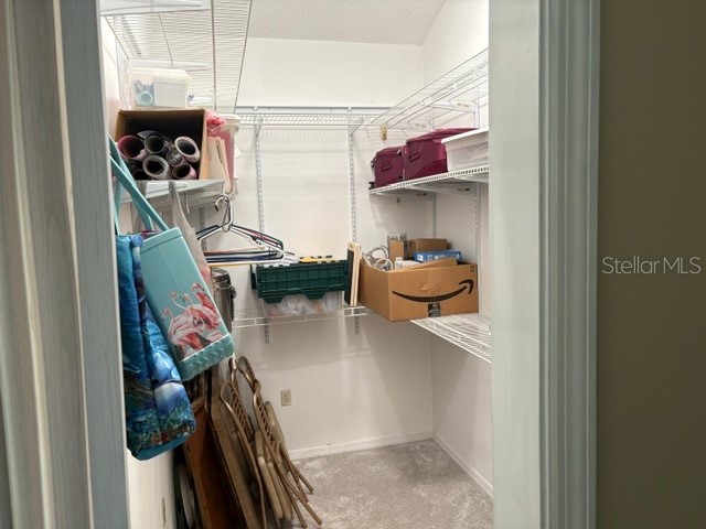 2820 Valencia Lane W Palm Harbor FL 34684 TB8502486 image20