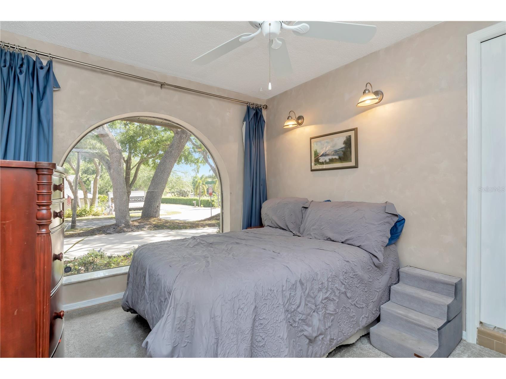 2820 Valencia Lane W Palm Harbor FL 34684 TB8502486 image22