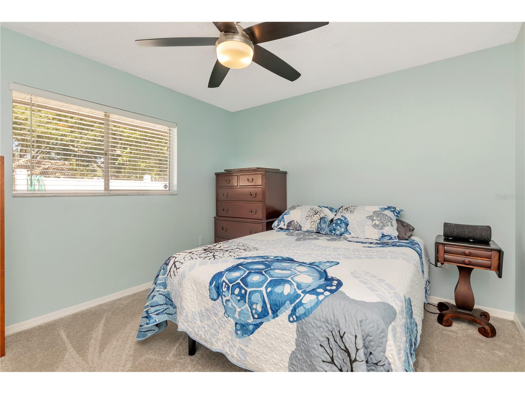 2820 Valencia Lane W Palm Harbor FL 34684 TB8502486 image32