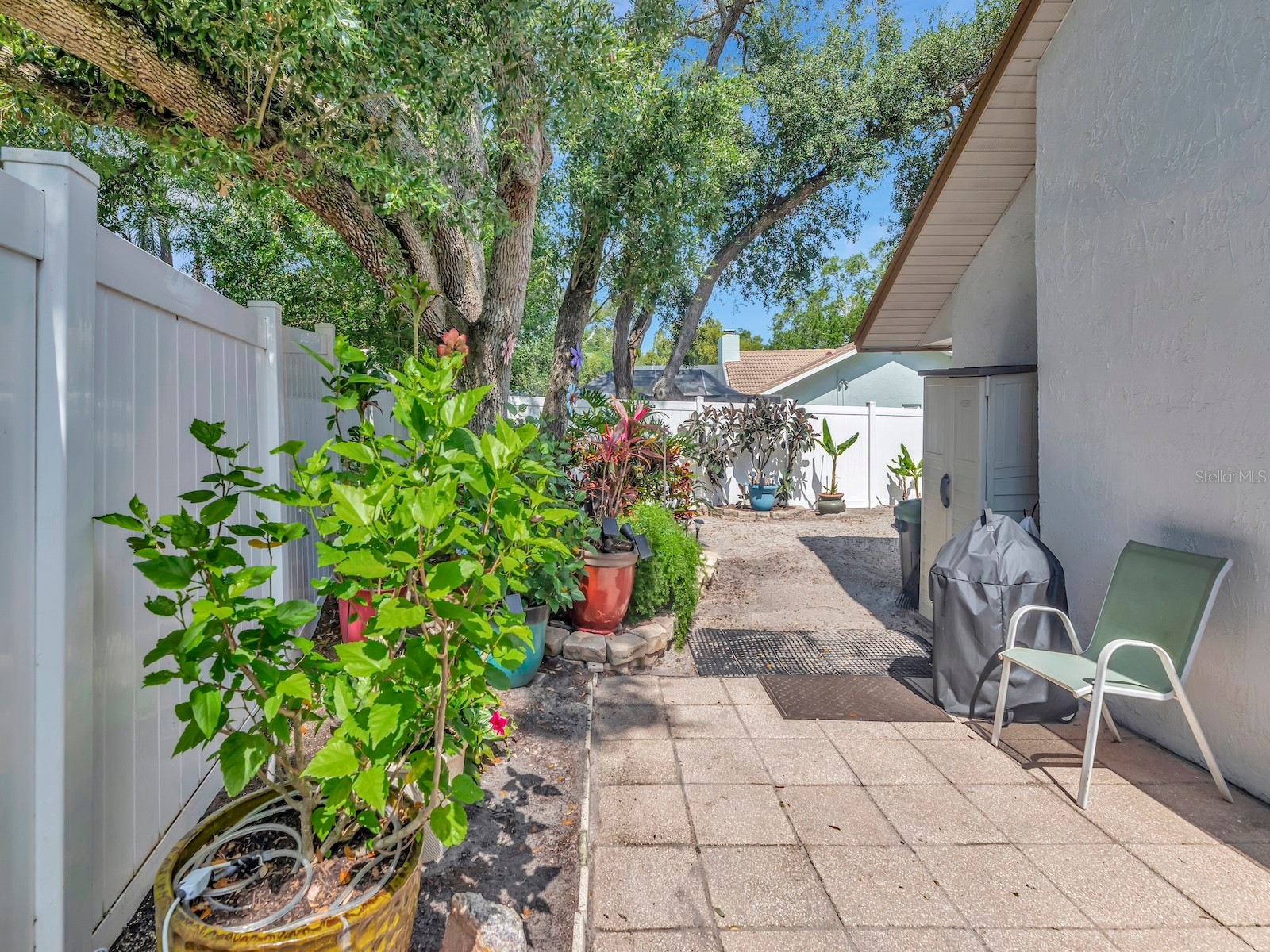 2820 Valencia Lane W Palm Harbor FL 34684 TB8502486 image44