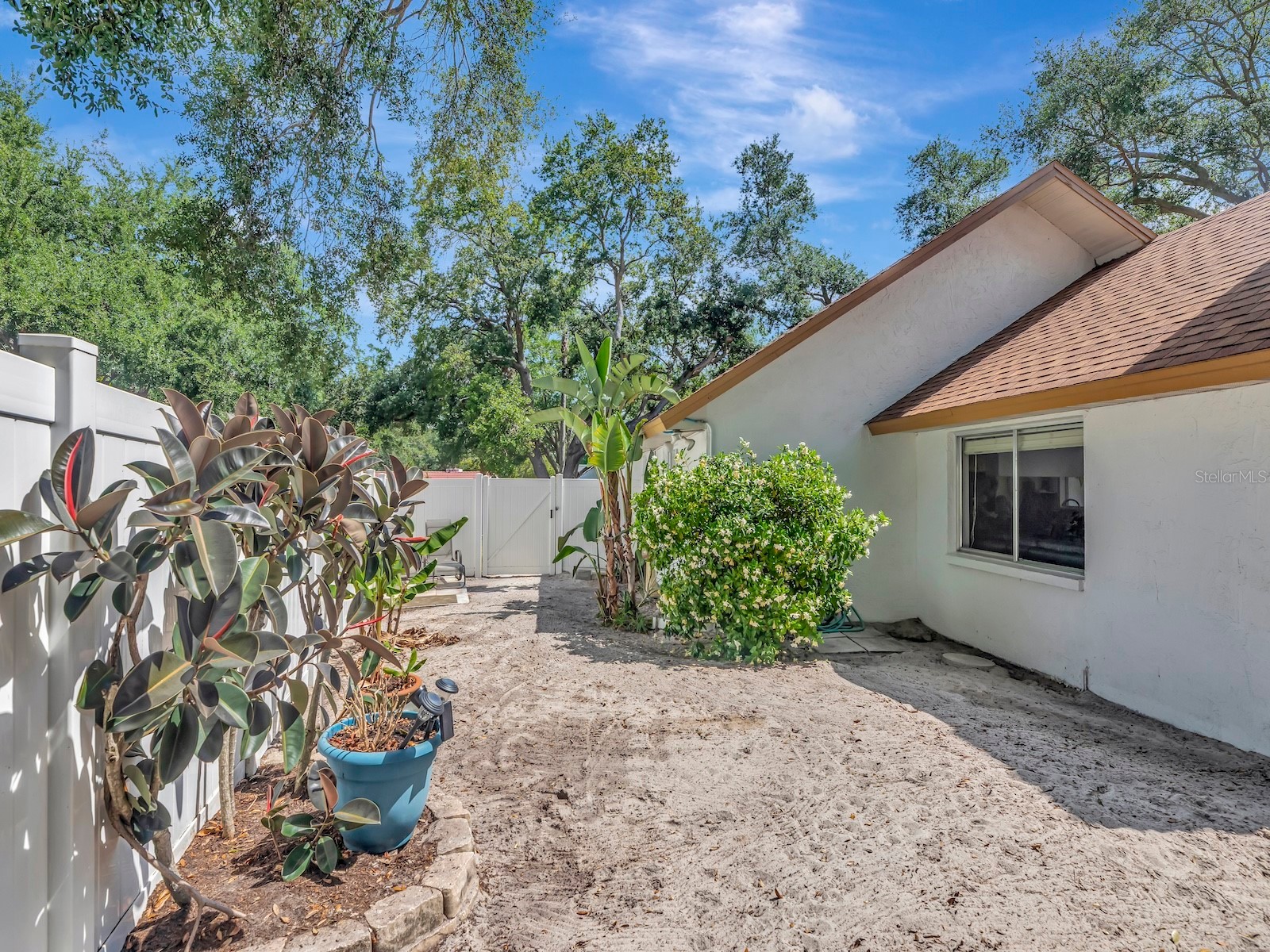 2820 Valencia Lane W Palm Harbor FL 34684 TB8502486 image45