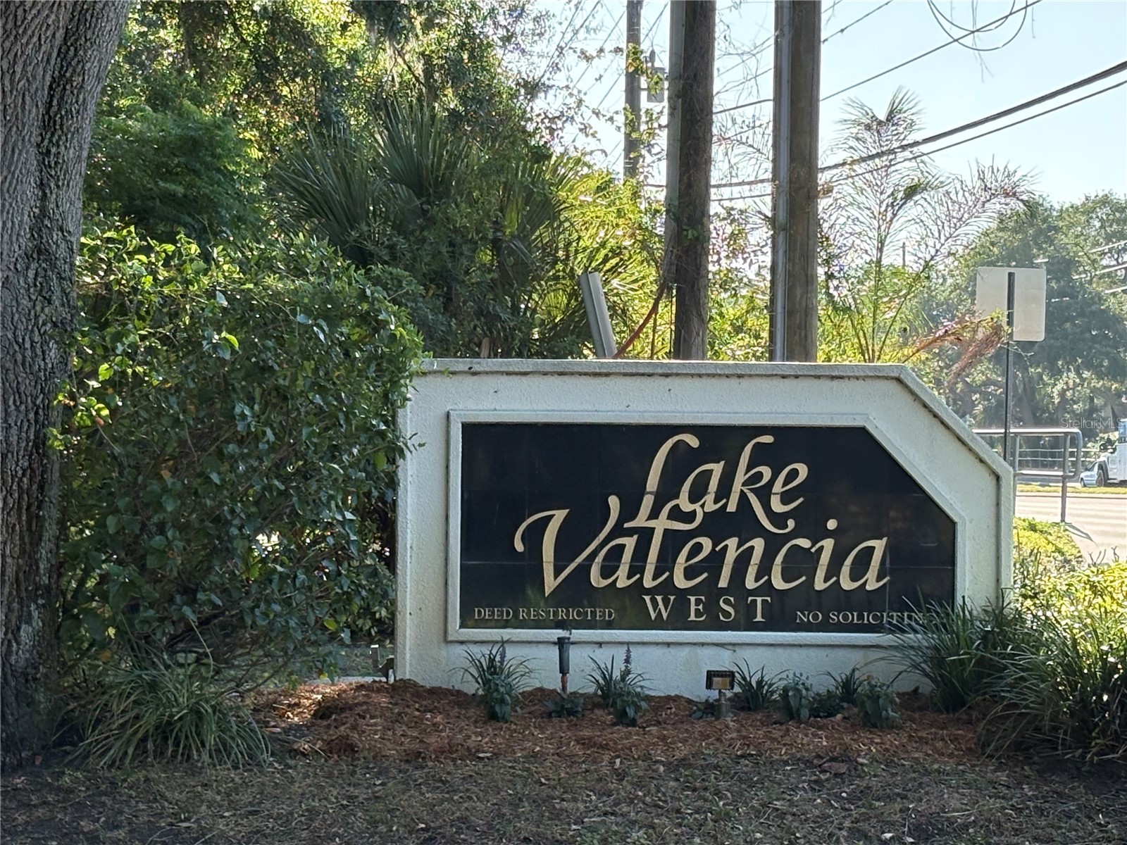2820 Valencia Lane W Palm Harbor FL 34684 TB8502486 image48