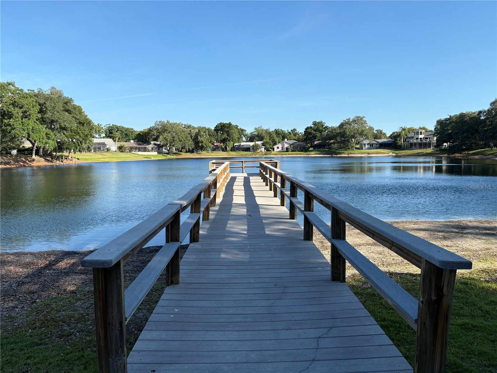 2820 Valencia Lane W Palm Harbor FL 34684 TB8502486 image50