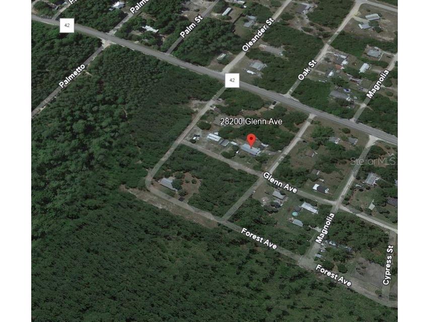 28200 Glenn Avenue Paisley FL 32767 V4937677 image1