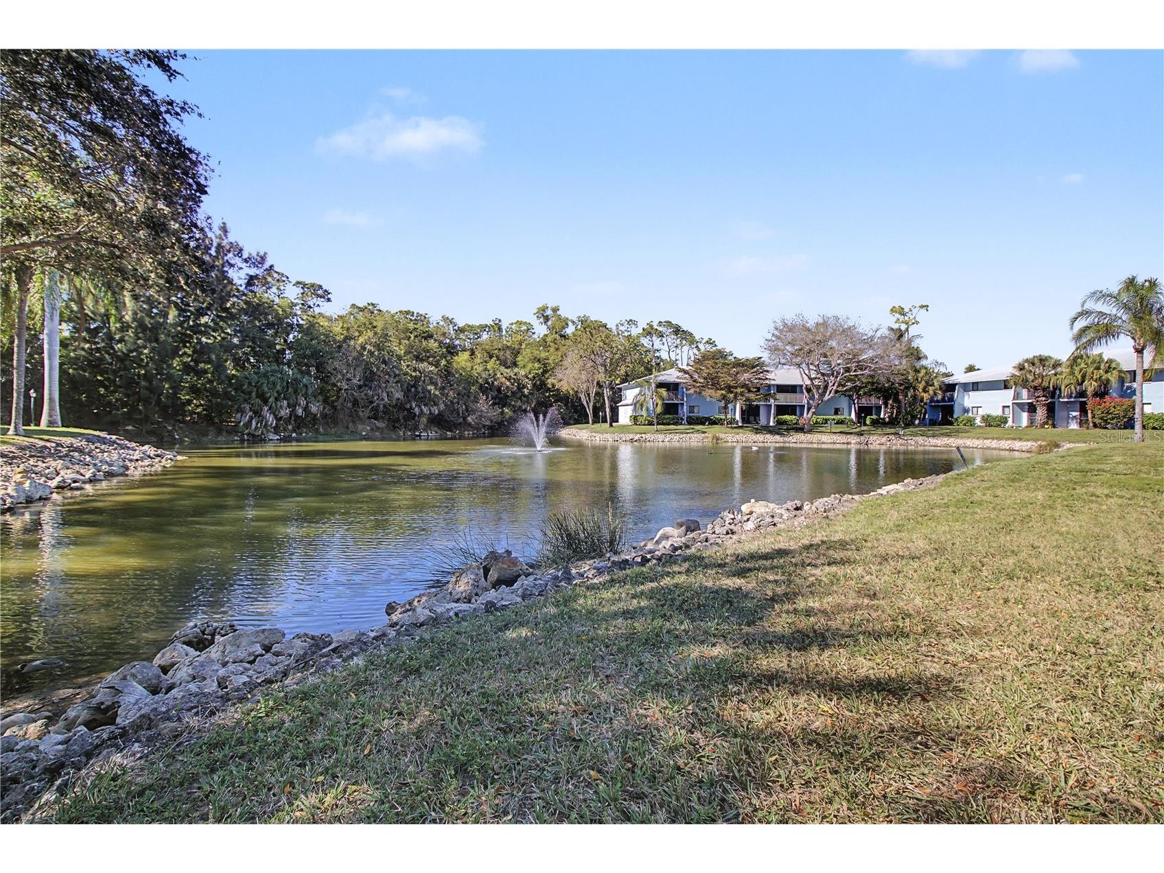 28201 Pine Haven Way #145 Bonita Springs FL 34135 TB8479180 image19