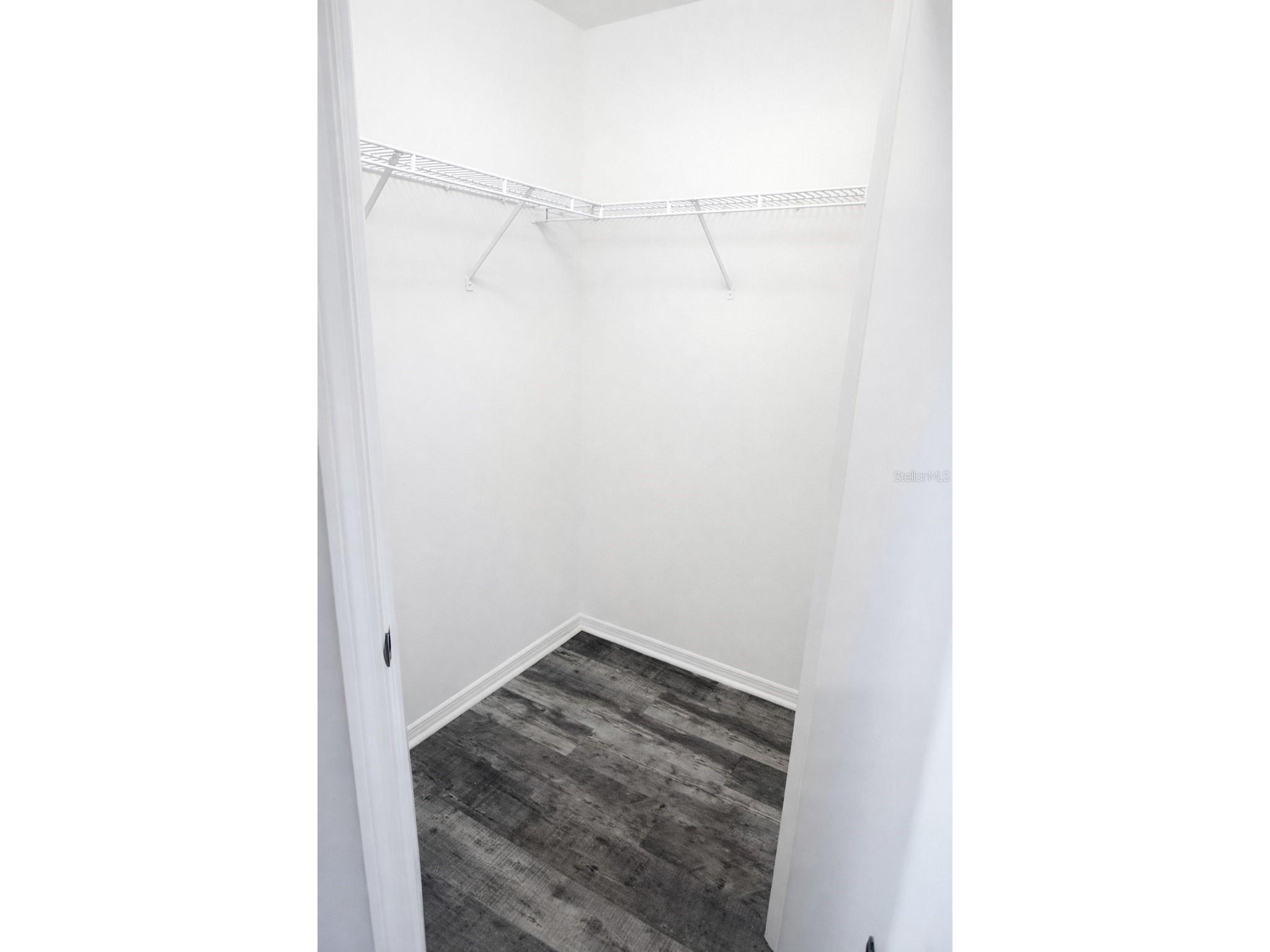 28202 Brokenmead Path Wesley Chapel FL 33543 TB8504050 image12