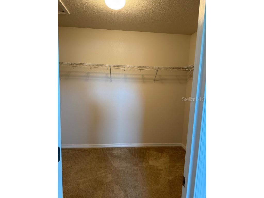 2821 Cypress Bowl Road Lutz FL 33558 S5132666 image22