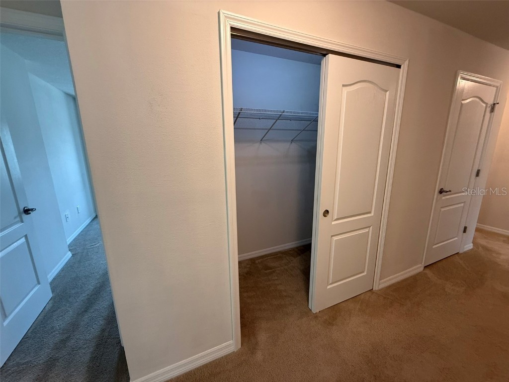 2821 Cypress Bowl Road Lutz FL 33558 S5132666 image24