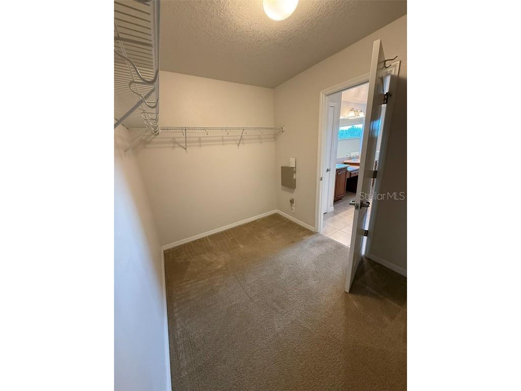 2821 Cypress Bowl Road Lutz FL 33558 S5132666 image29