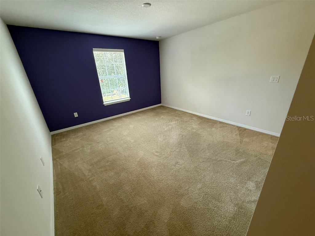 2821 Cypress Bowl Road Lutz FL 33558 S5132666 image38