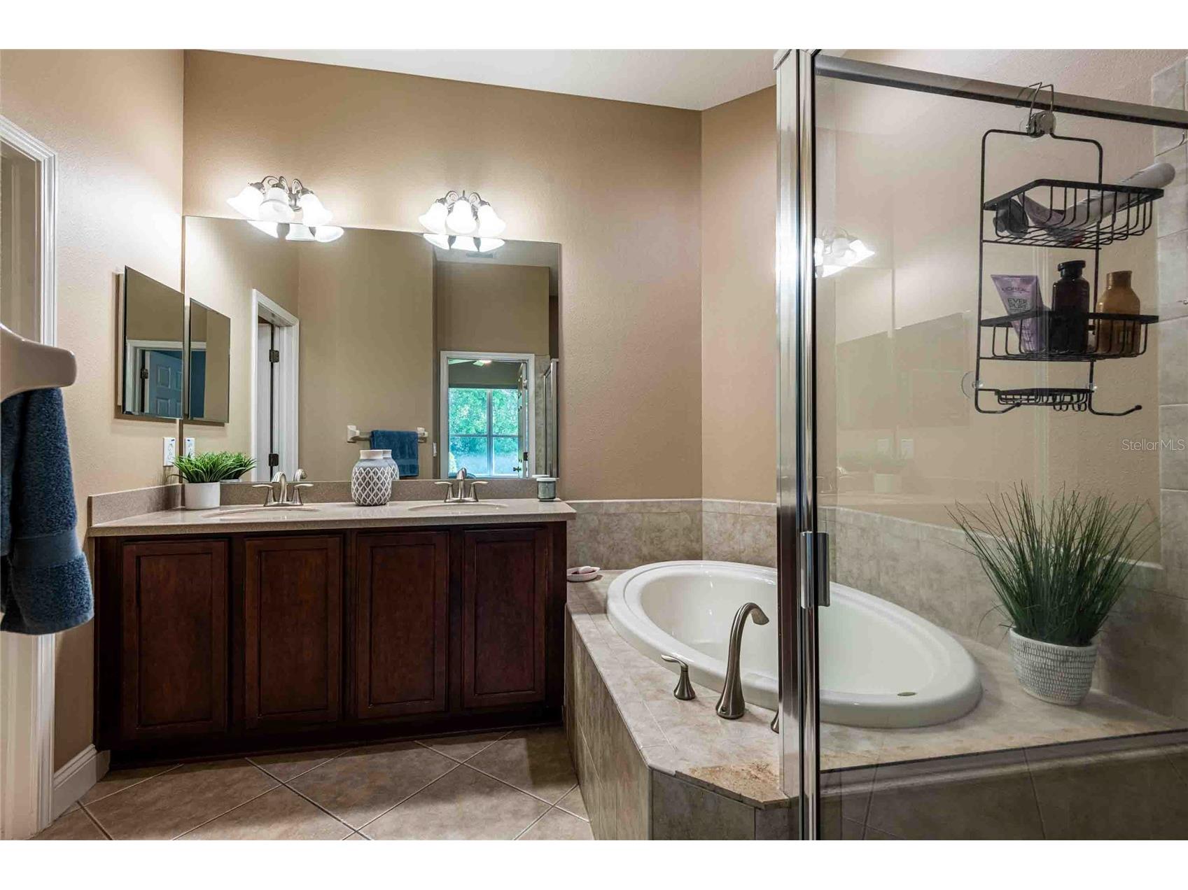2821 Devonoak Boulevard Land O Lakes FL 34638 TB8482370 image14