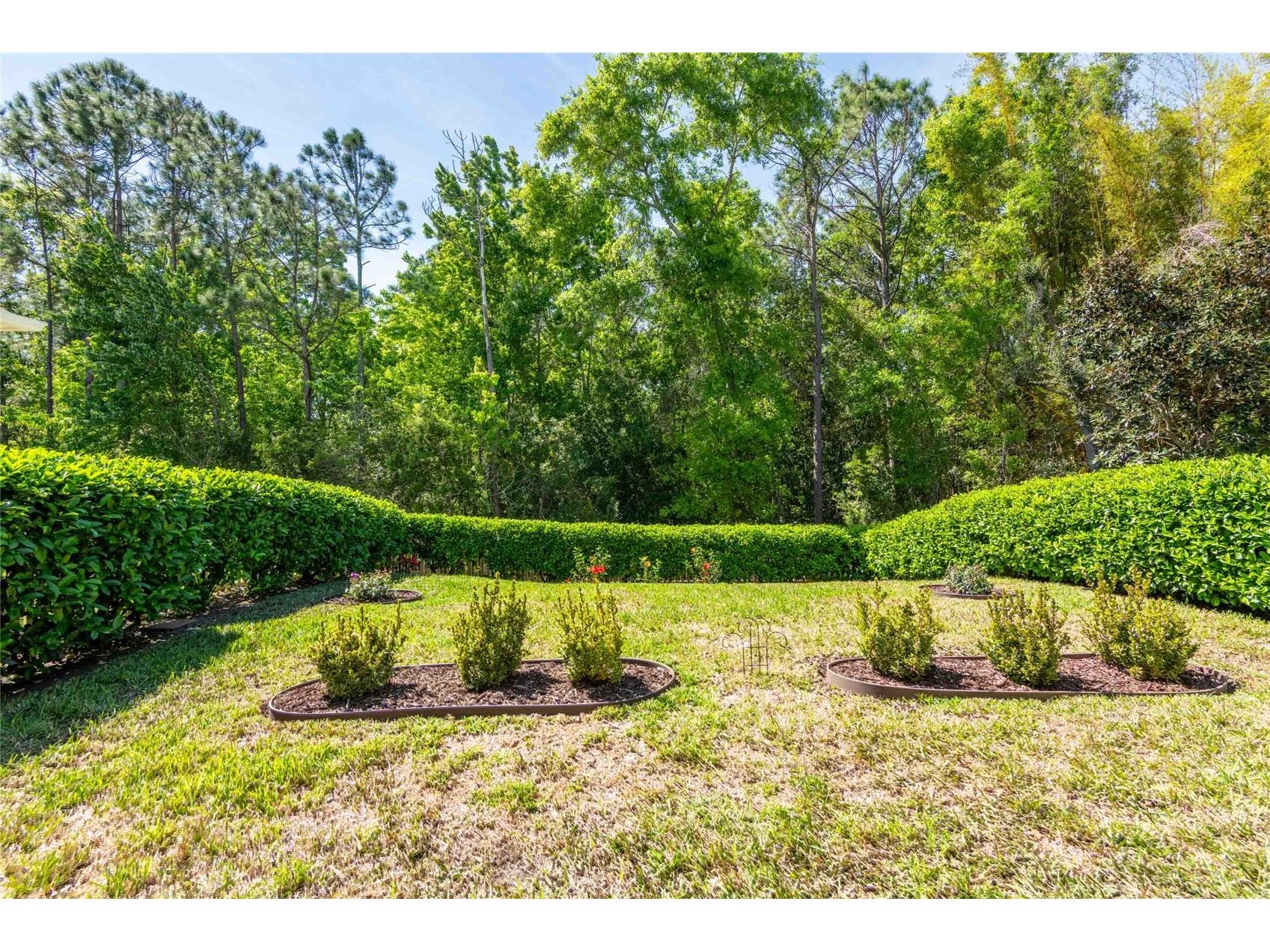 2821 Devonoak Boulevard Land O Lakes FL 34638 TB8482370 image21