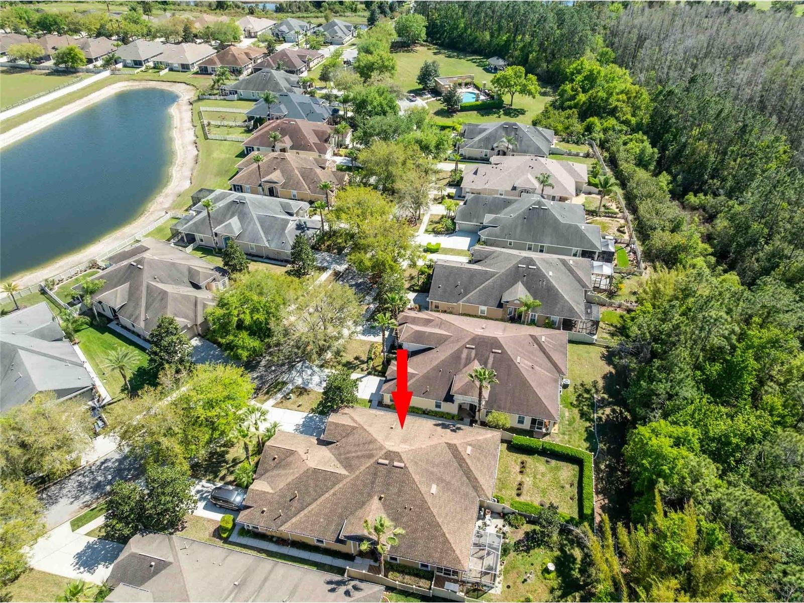2821 Devonoak Boulevard Land O Lakes FL 34638 TB8482370 image31