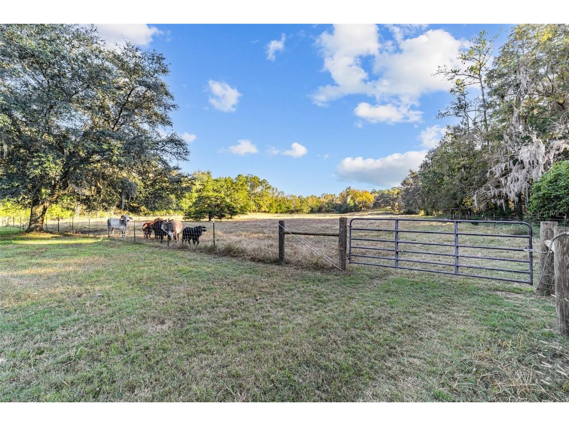 2821 SE 80th Street Ocala FL 34480 OM693692 image33