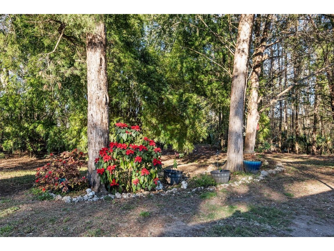 2821 SE 80th Street Ocala FL 34480 OM693692 image71