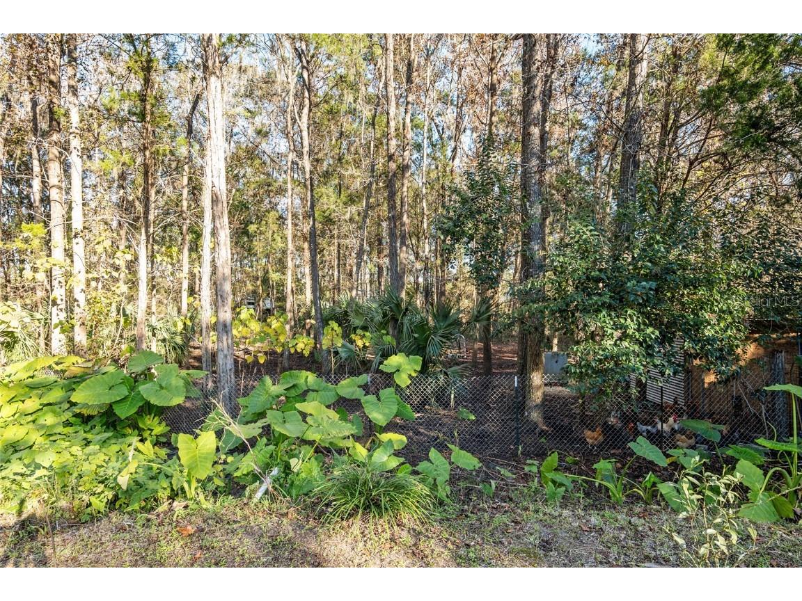 2821 SE 80th Street Ocala FL 34480 OM693692 image77