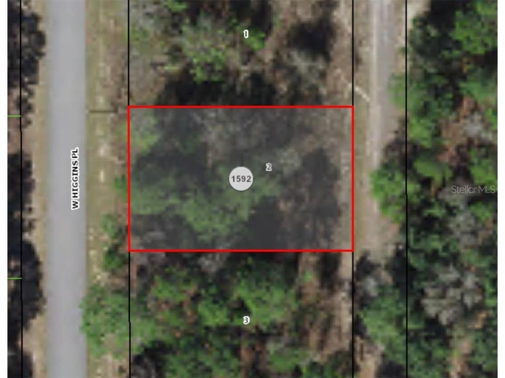 2821 W Higgins Place Citrus Springs FL 34433 OM655442 image1