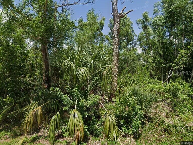 28210 S Twin Lakes Drive Punta Gorda FL 33955 C7503848 image1