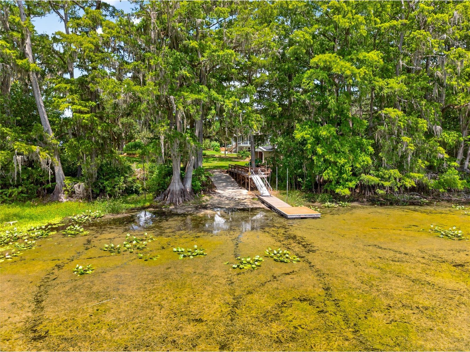 28211 Magnon Drive Brooksville FL 34601 - WITHLCOOCHIE RIVER W7887500 image11