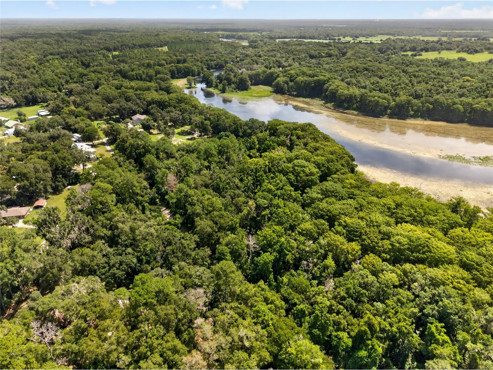 28211 Magnon Drive Brooksville FL 34601 - WITHLCOOCHIE RIVER W7887500 image12