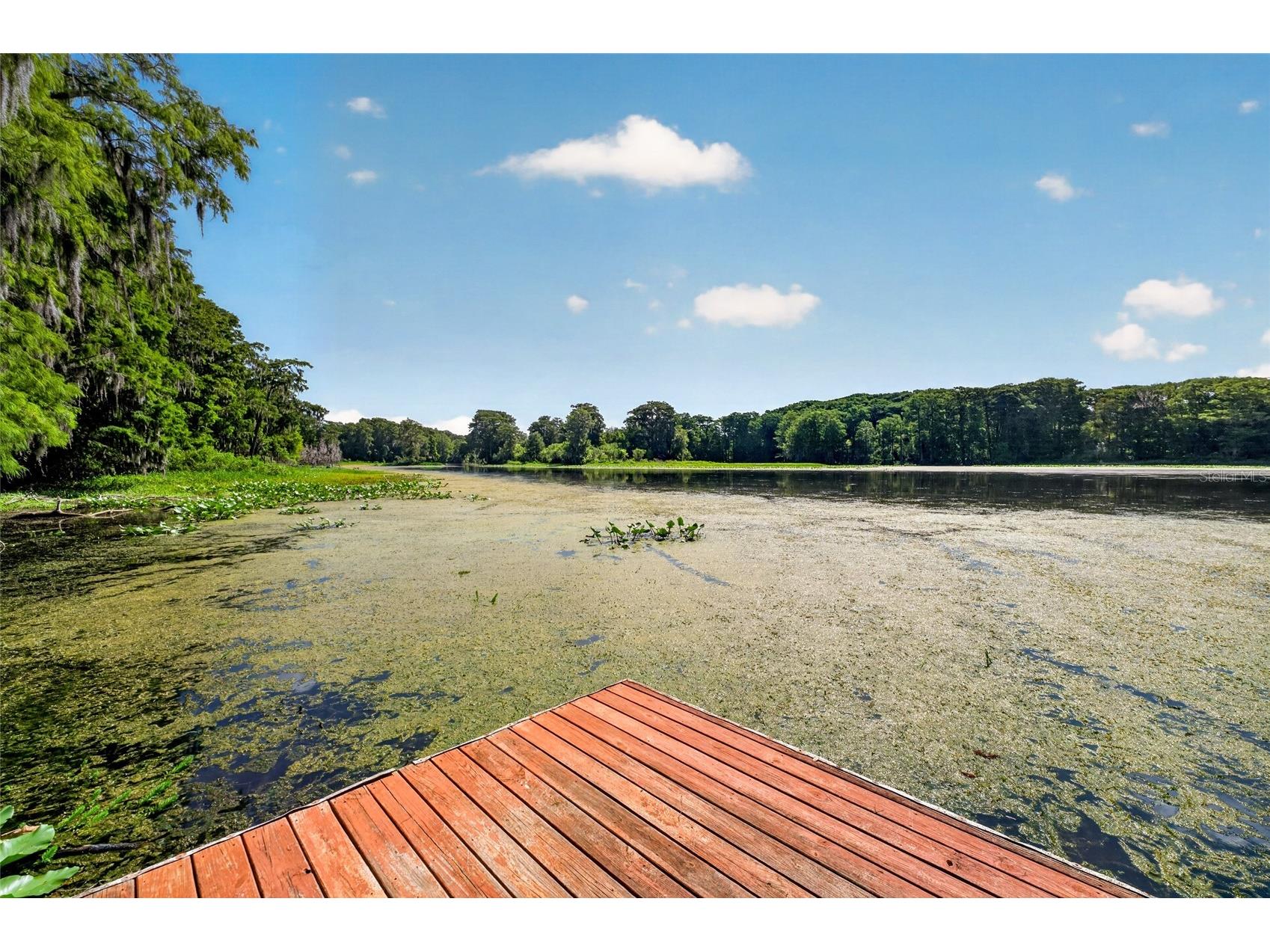 28211 Magnon Drive Brooksville FL 34601 - WITHLCOOCHIE RIVER W7887500 image60