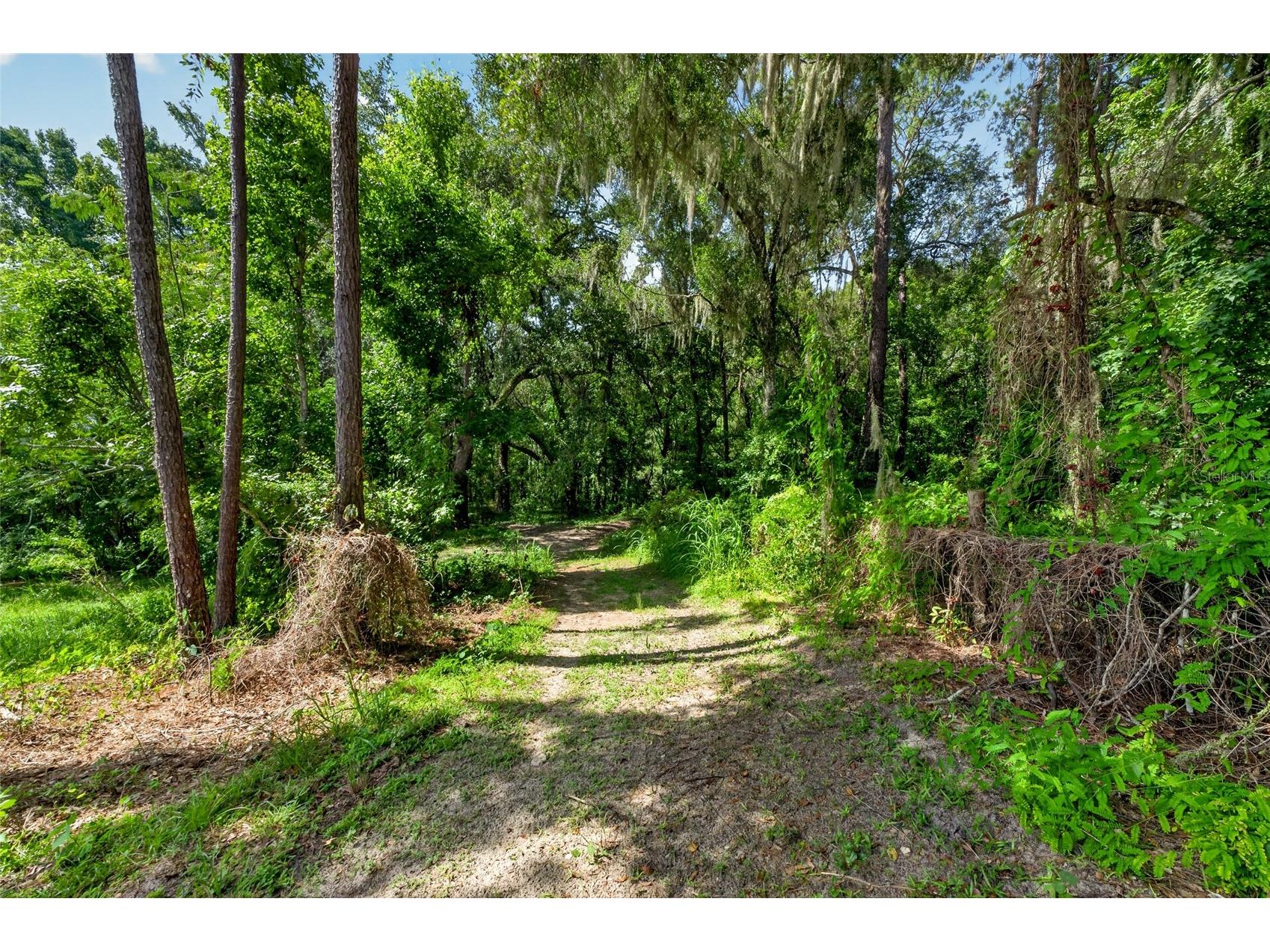 28211 Magnon Drive Brooksville FL 34601 - WITHLCOOCHIE RIVER W7887500 image71