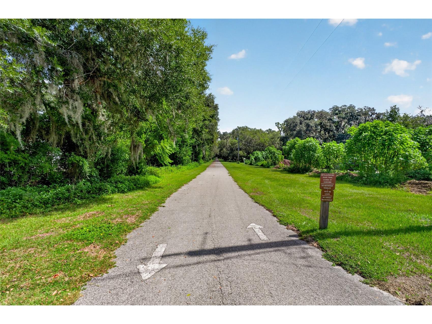 28211 Magnon Drive Brooksville FL 34601 - WITHLCOOCHIE RIVER W7887500 image78