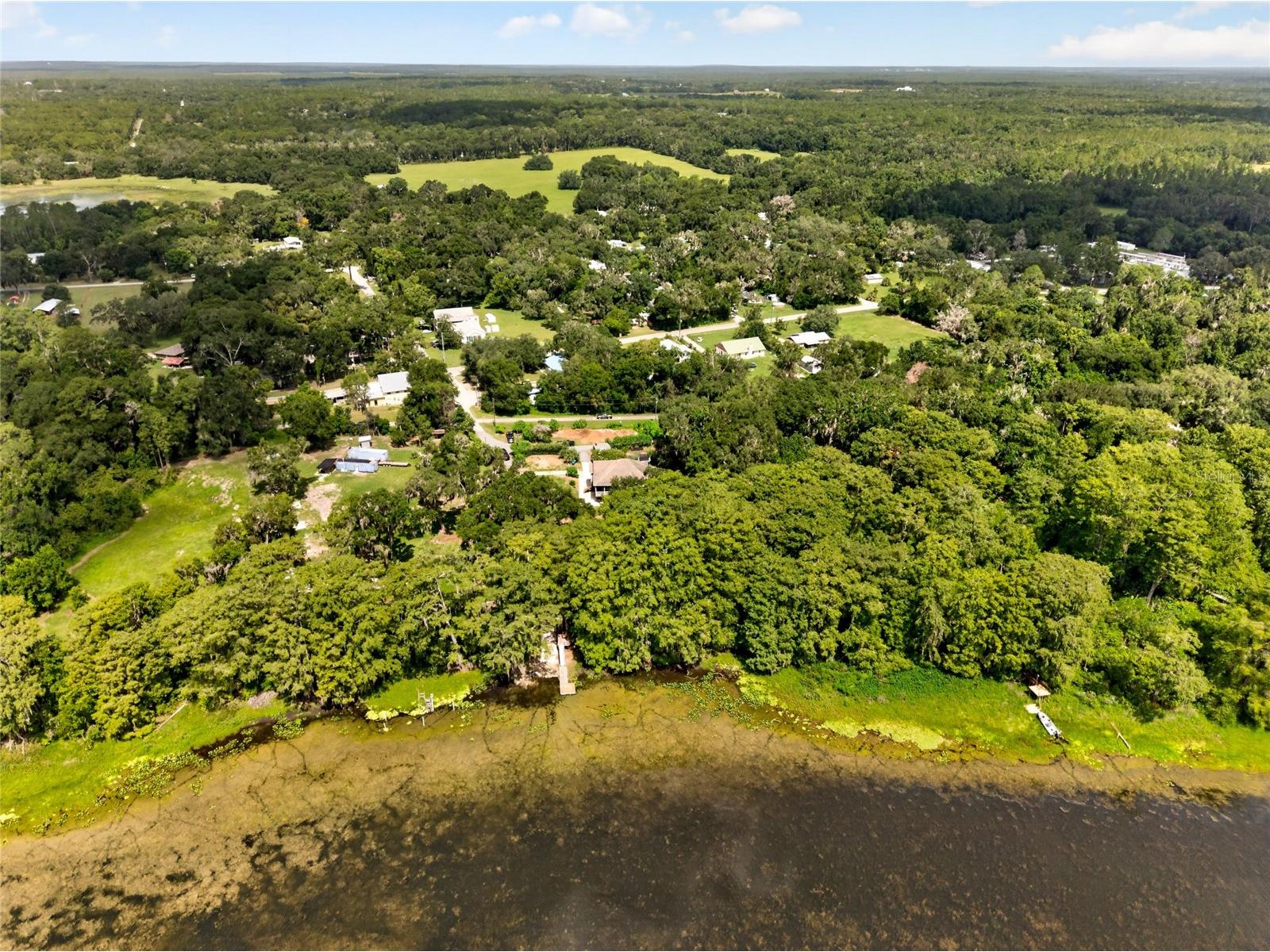 28211 Magnon Drive Brooksville FL 34601 - WITHLCOOCHIE RIVER W7887500 image81