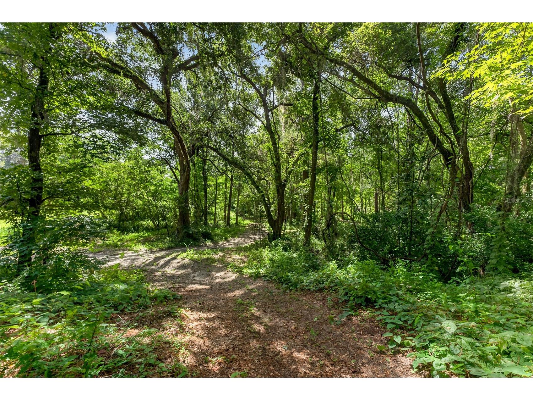 28211 Magnon Drive Brooksville FL 34601 - WITHLCOOCHIE RIVER W7887500 image86