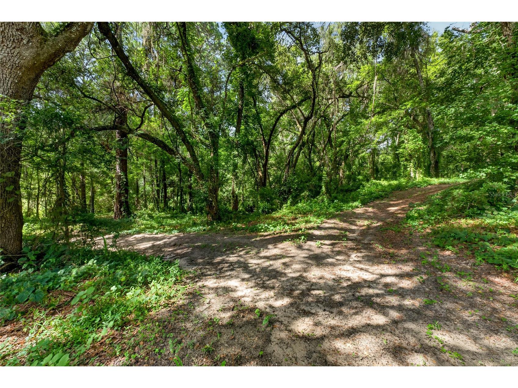 28211 Magnon Drive Brooksville FL 34601 - WITHLCOOCHIE RIVER W7887500 image87