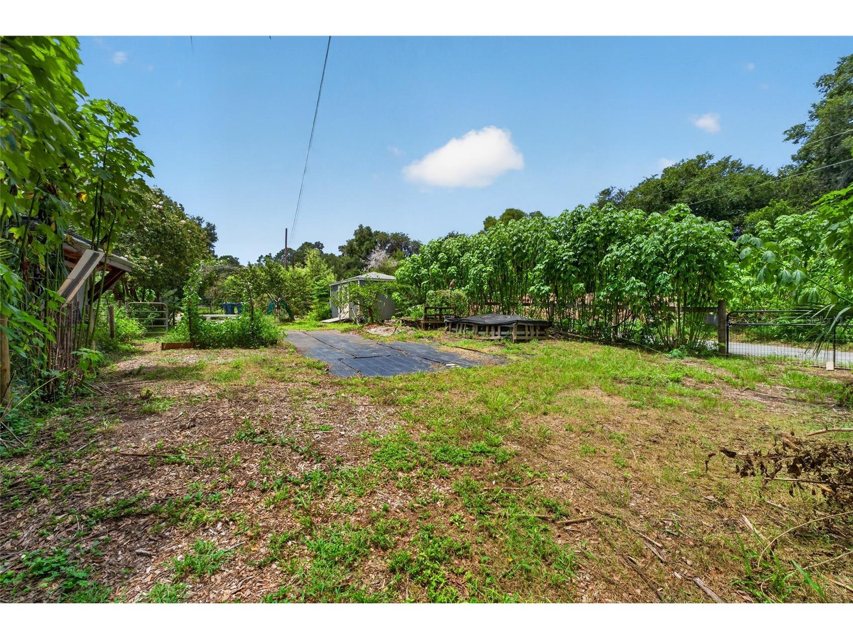 28211 Magnon Drive Brooksville FL 34601 - WITHLCOOCHIE RIVER W7887500 image89