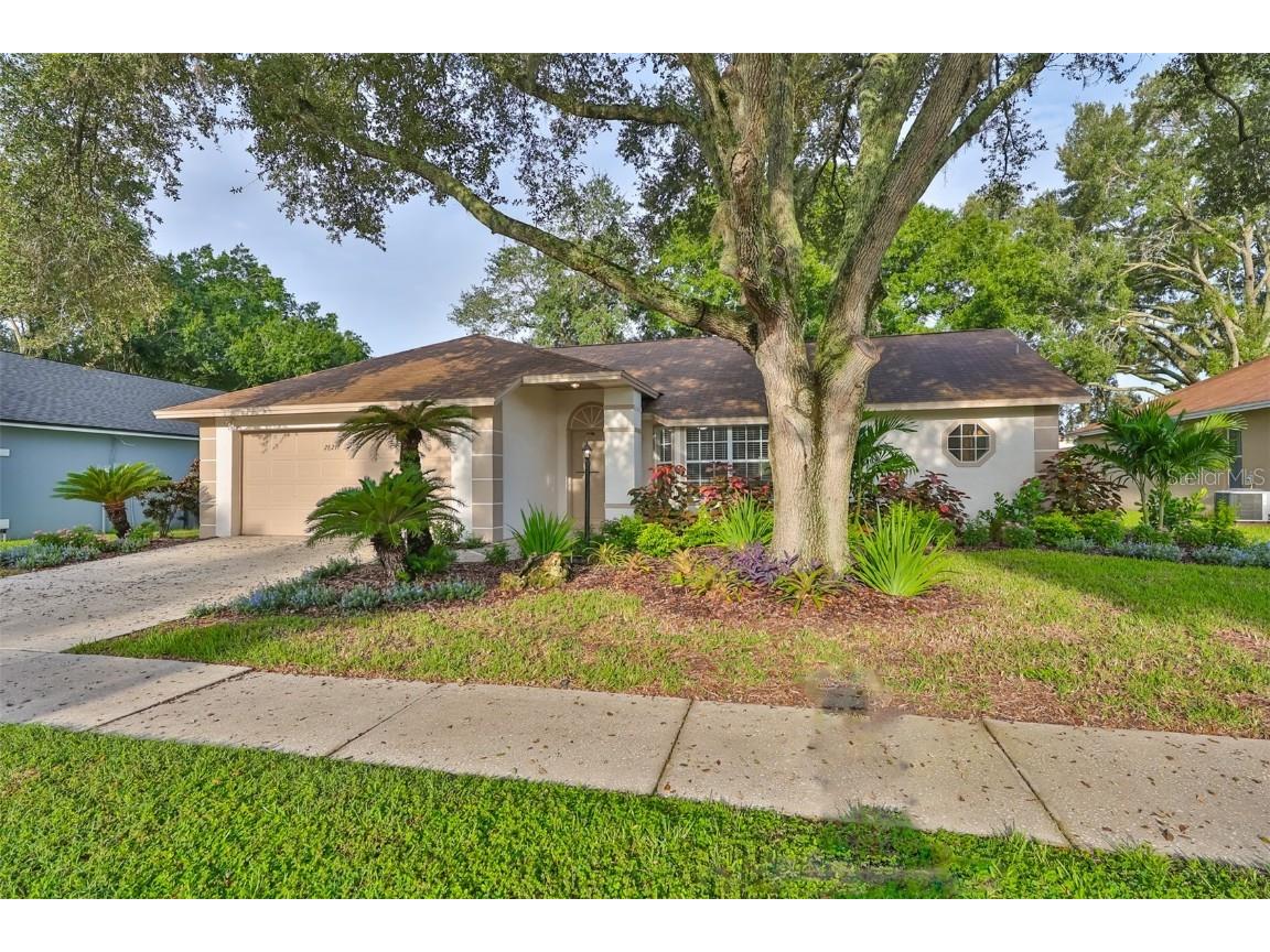 28211 Tanglewood Drive Wesley Chapel FL 33543 TB8302175 image1