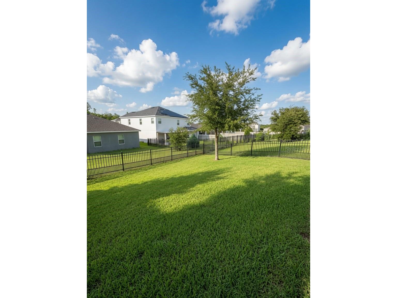 2822 Bigleaf Maple Drive Ocoee FL 34761 O6414718 image14
