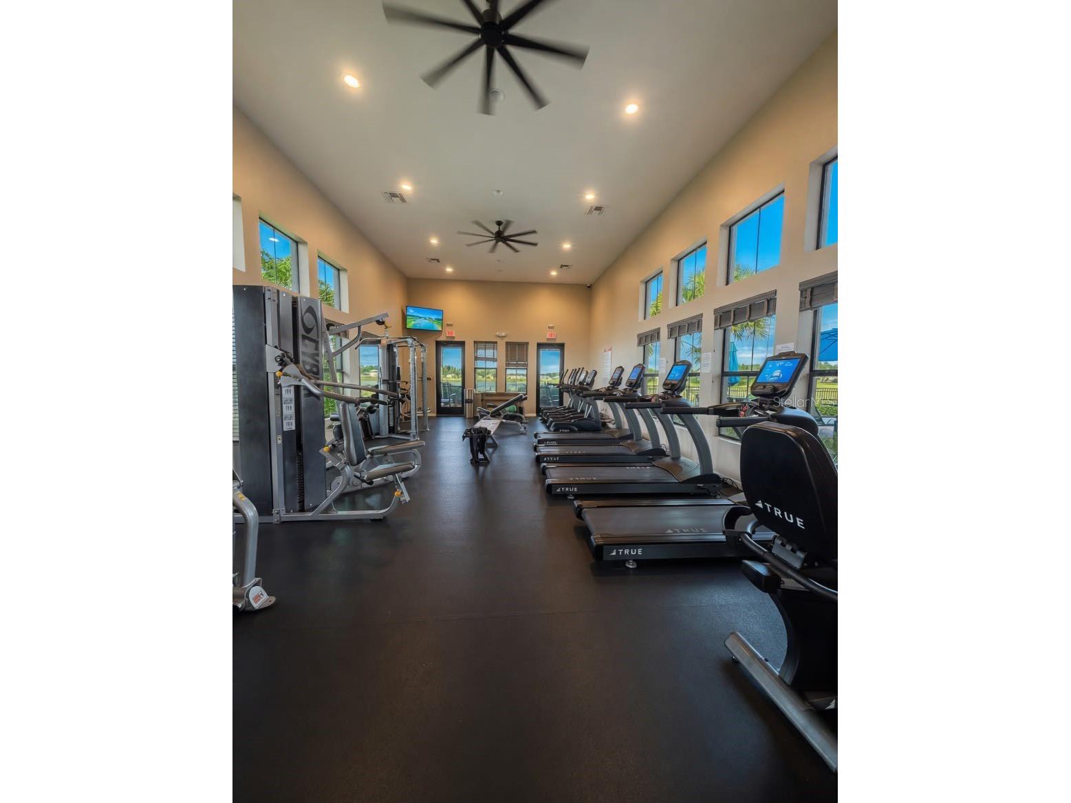 2822 Bigleaf Maple Drive Ocoee FL 34761 O6414718 image16