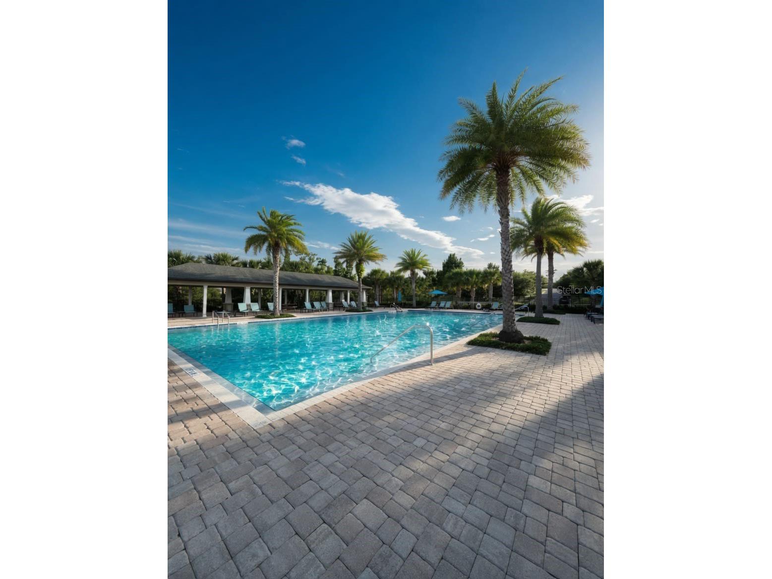 2822 Bigleaf Maple Drive Ocoee FL 34761 O6414718 image19