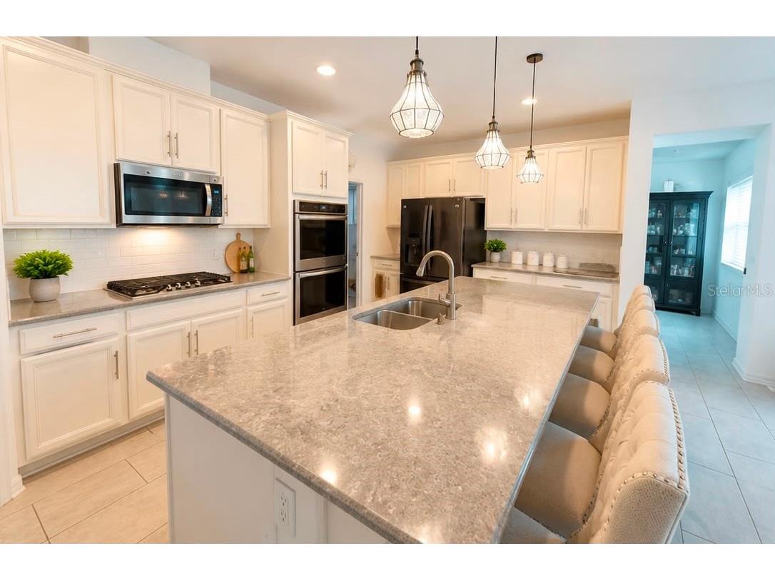 2822 Bigleaf Maple Drive Ocoee FL 34761 O6414718 image2